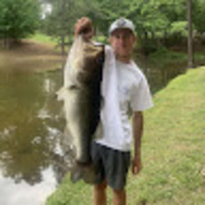 Meet your Posher, Harrison